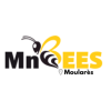 MnBees Gafsa - Moularès