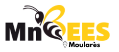 MnBees Gafsa - Moularès